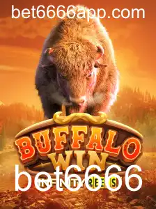 BuffaloWin: Experiência de Jogo Envolvente no Universo das Apostas
